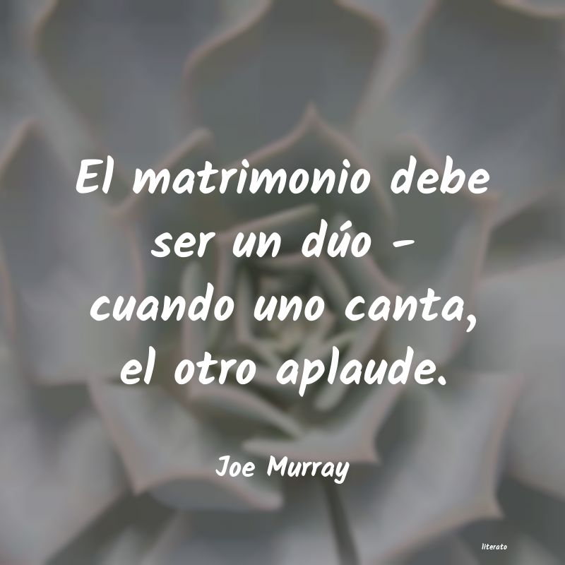 Frases de Joe Murray