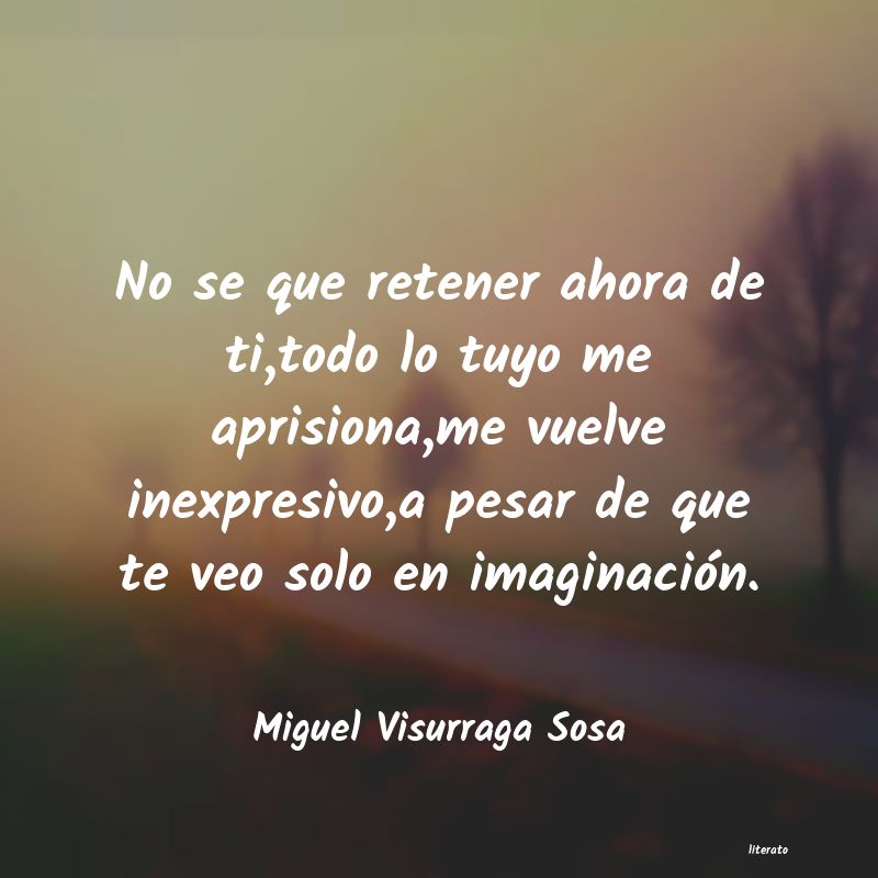 Frases de Miguel Visurraga Sosa