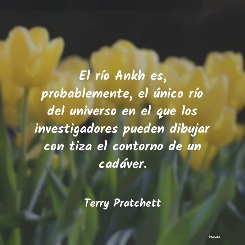 Frases de Terry Pratchett