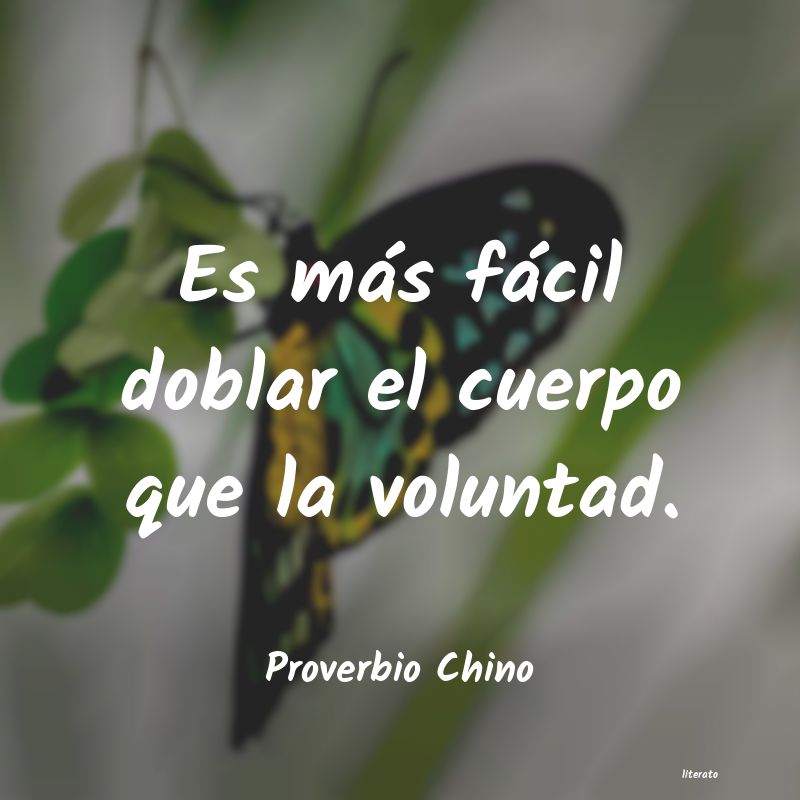 Frases de Proverbio Chino