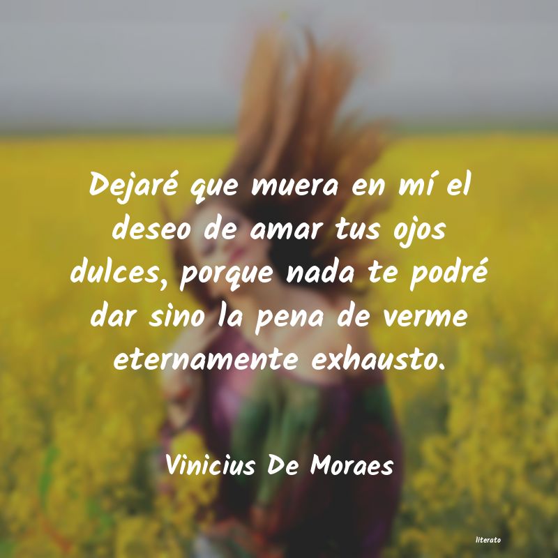 Frases de Vinicius De Moraes