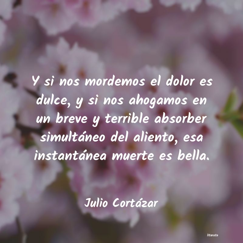 Frases de Julio Cortázar