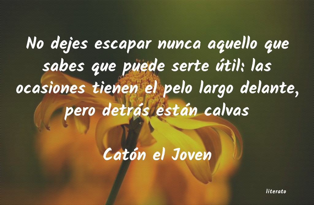 frases de Catón el Joven
