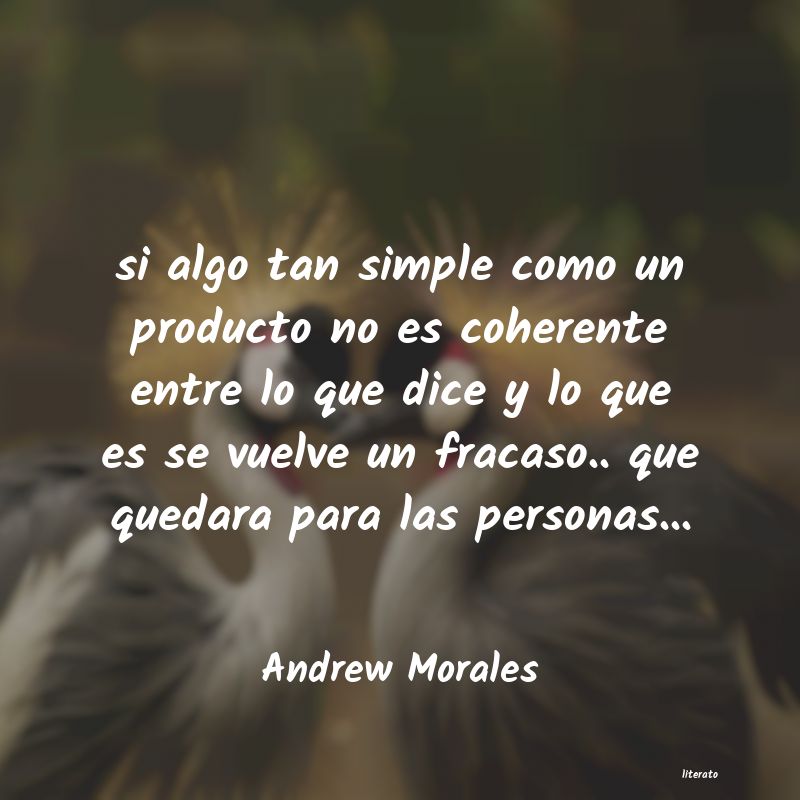 Frases de Andrew Morales