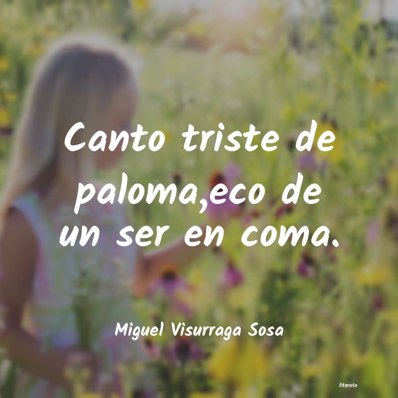 Frases de Miguel Visurraga Sosa