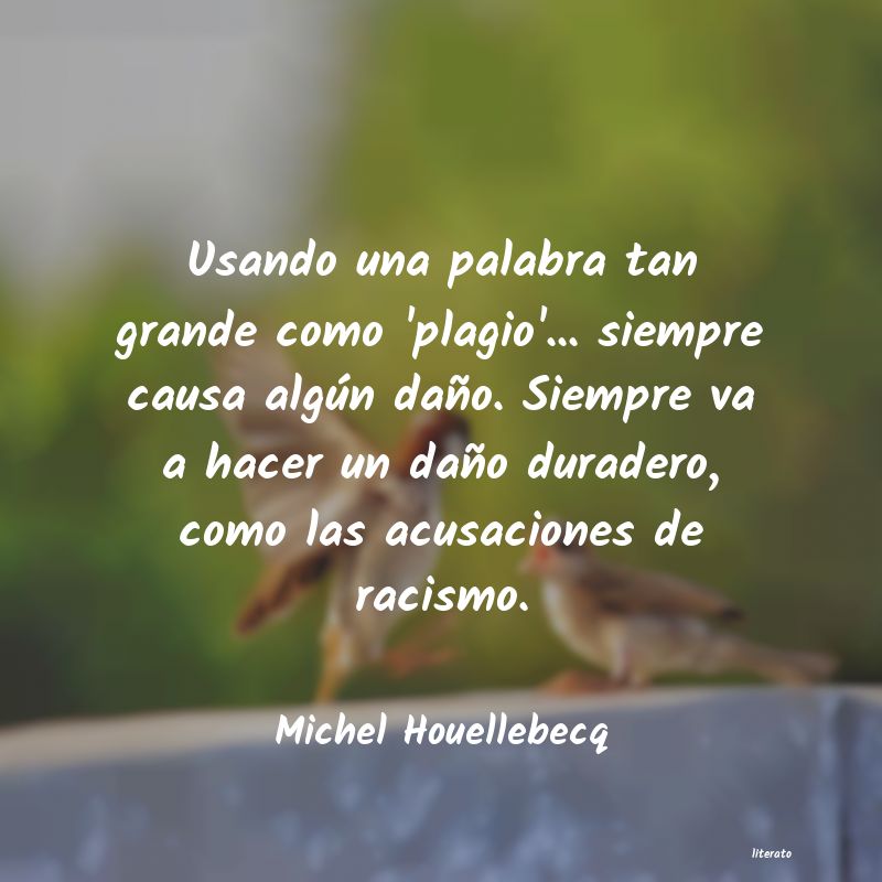 Frases de Michel Houellebecq