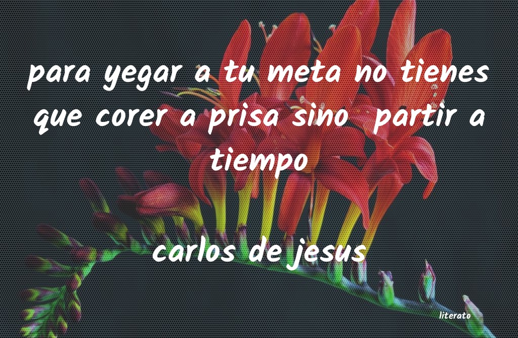 frases de carlos de jesus