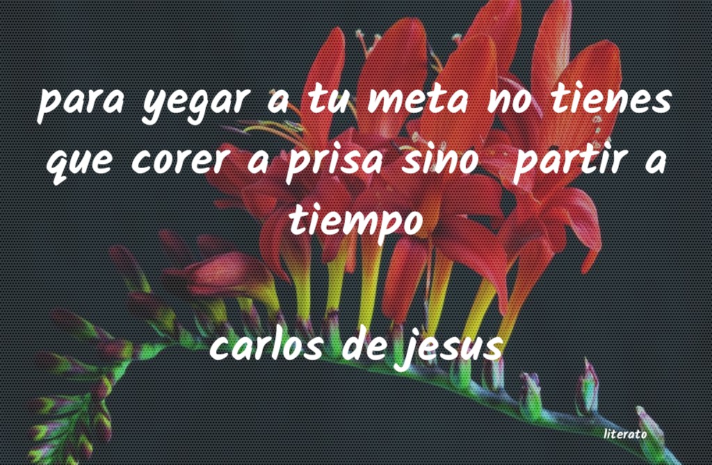 Frases de carlos de jesus