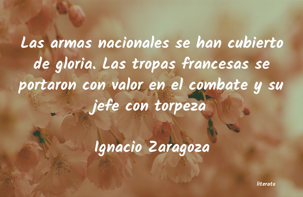 Frases de Ignacio Zaragoza
