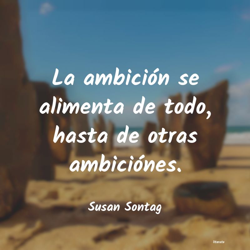 frases de Susan Sontag