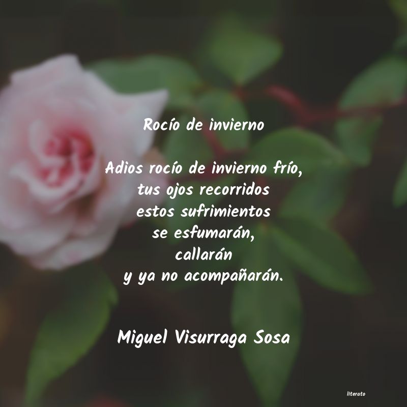 Frases de Miguel Visurraga Sosa