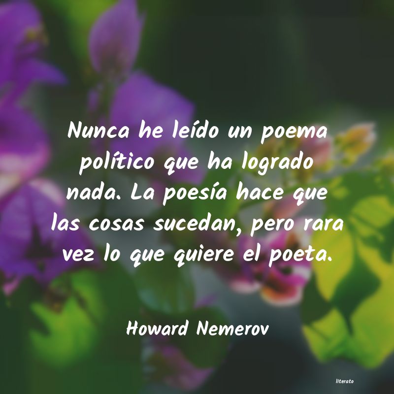 frases de Howard Nemerov