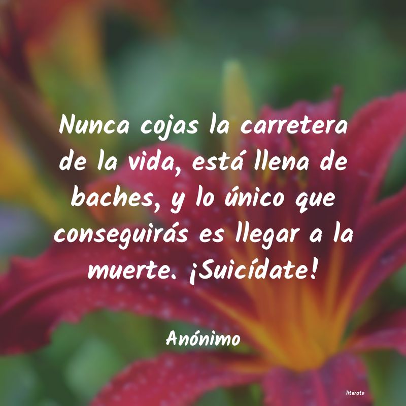 frases