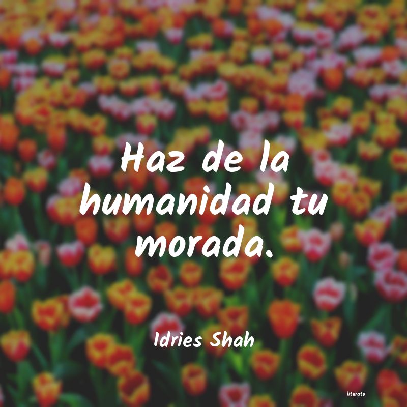 frases de Idries Shah