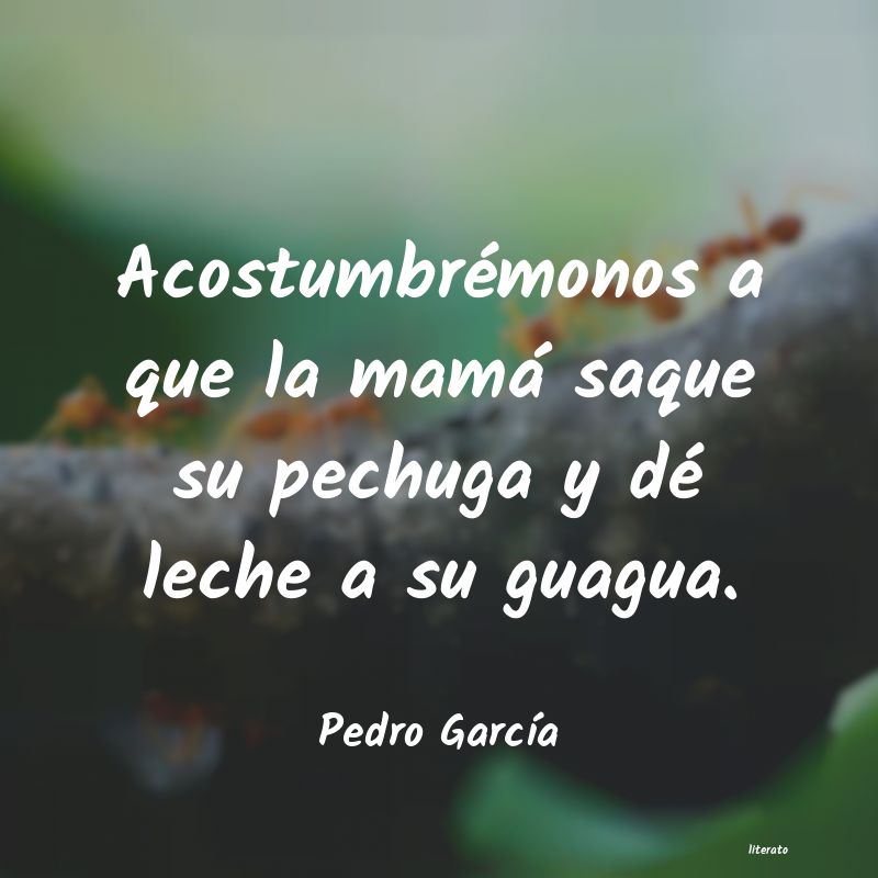 frases de Pedro GarcÃa
