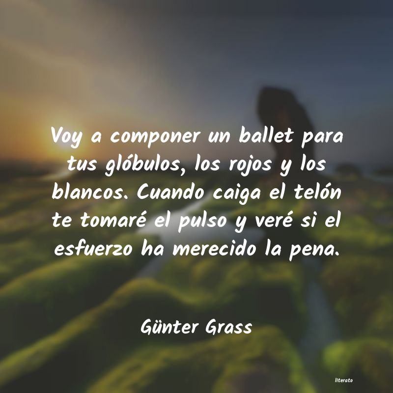 frases de Günter Grass