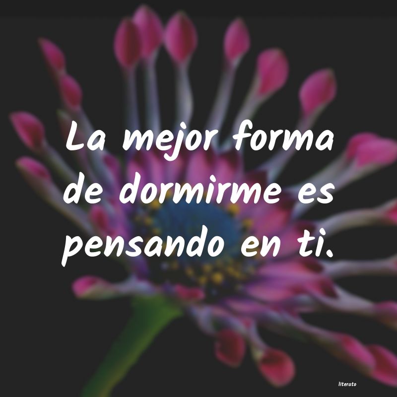 frases