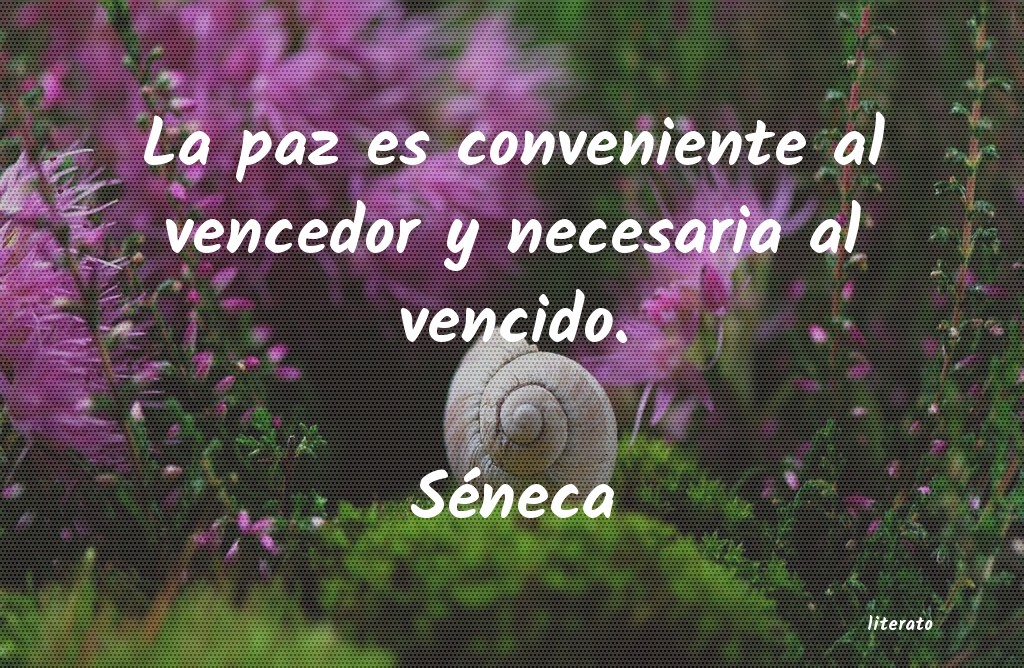 frases de Séneca