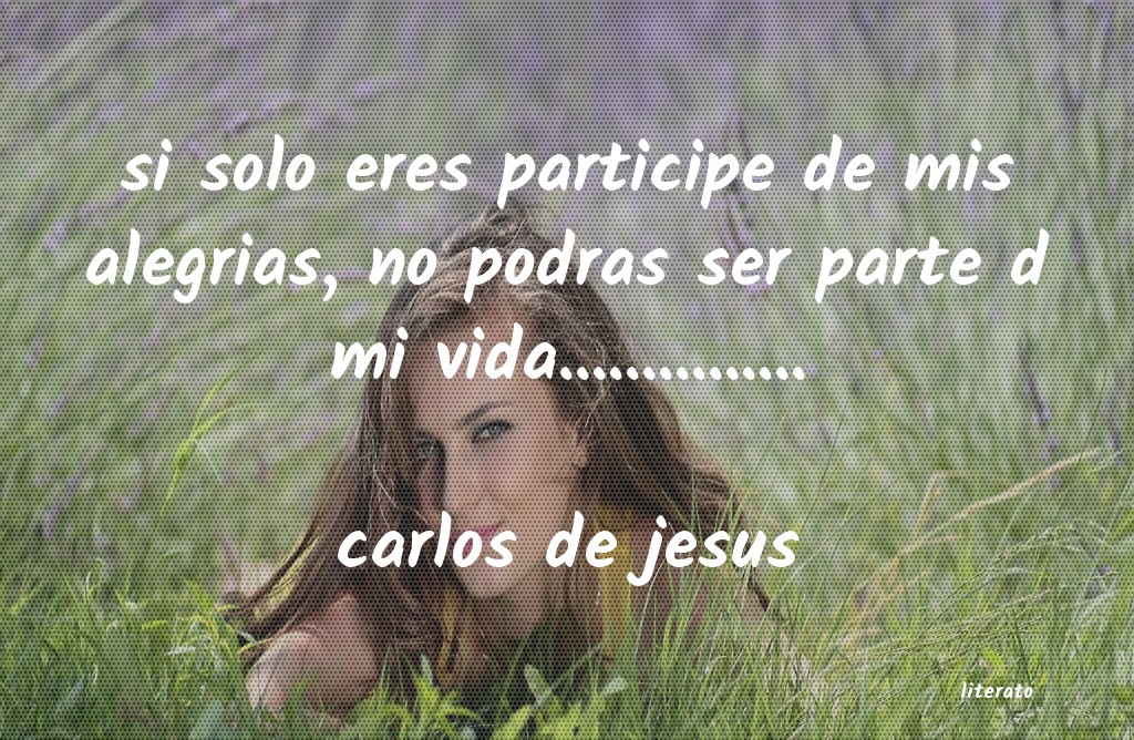 Frases de carlos de jesus