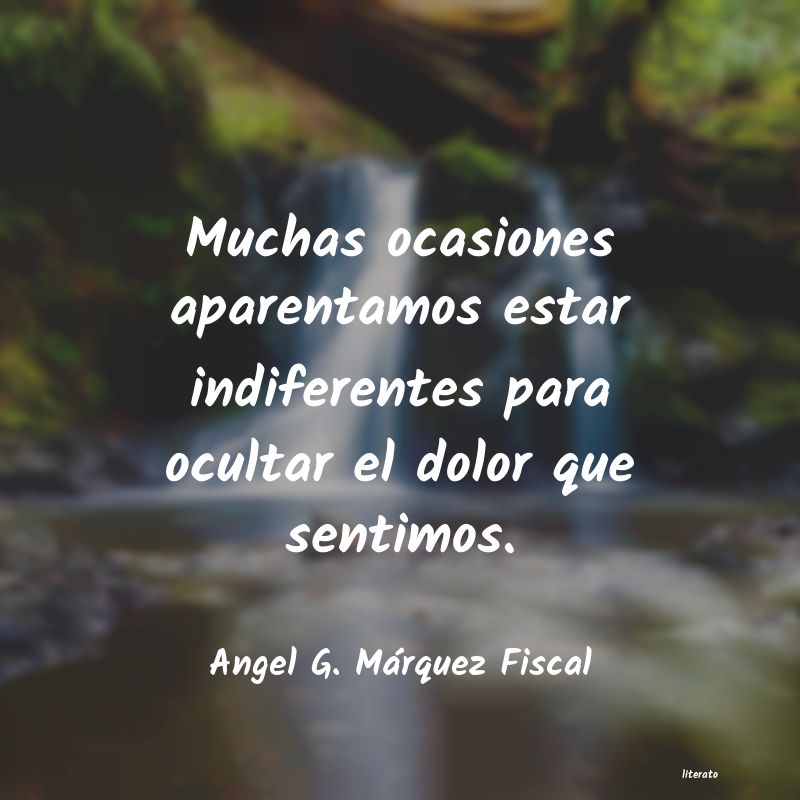 Frases de Angel G. Márquez Fiscal