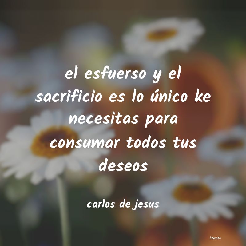 frases de carlos de jesus