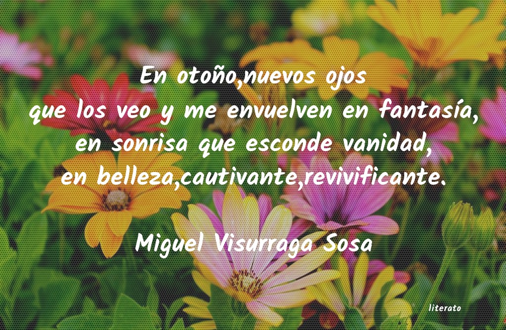 frases de Miguel Visurraga Sosa