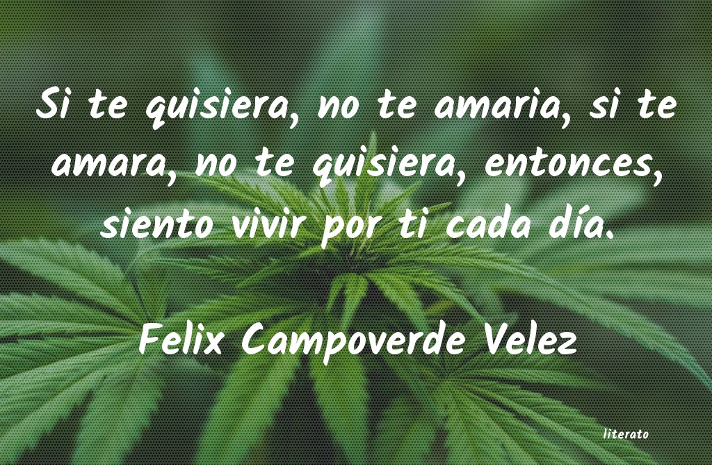 Frases de Felix Campoverde Velez