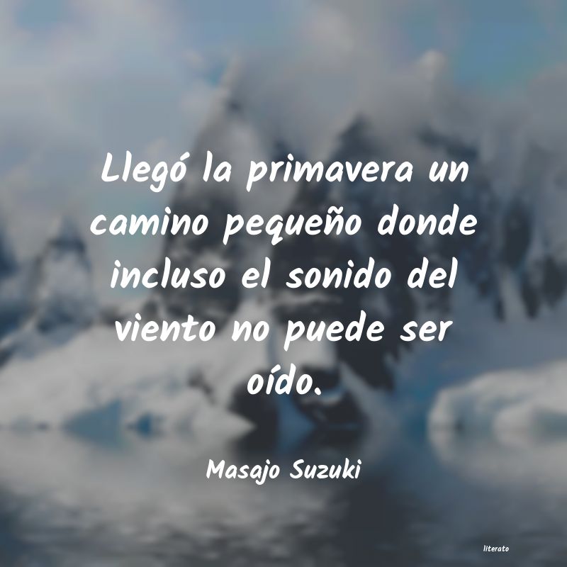 Frases de Masajo Suzuki