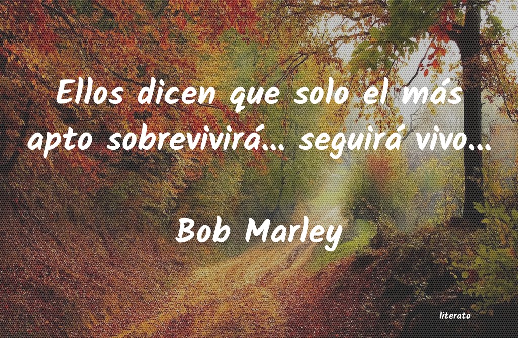 Frases de Bob Marley