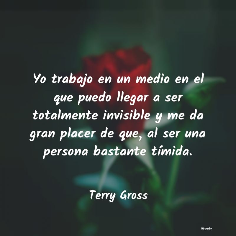 frases de Terry Gross