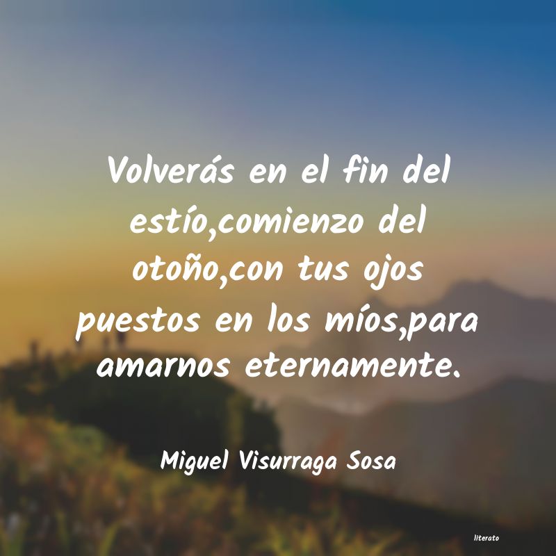 Frases de Miguel Visurraga Sosa