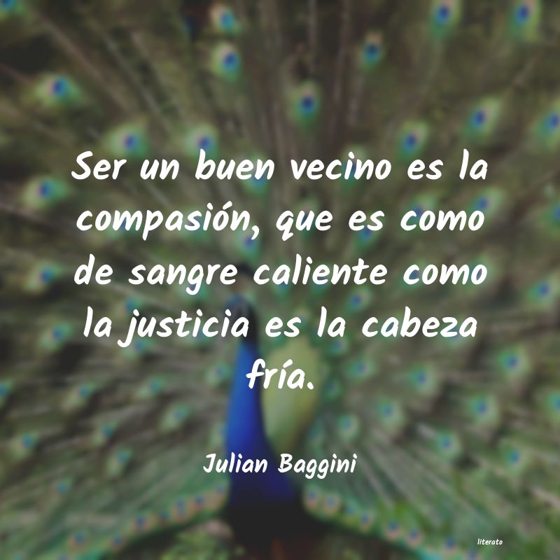 Frases de Julian Baggini