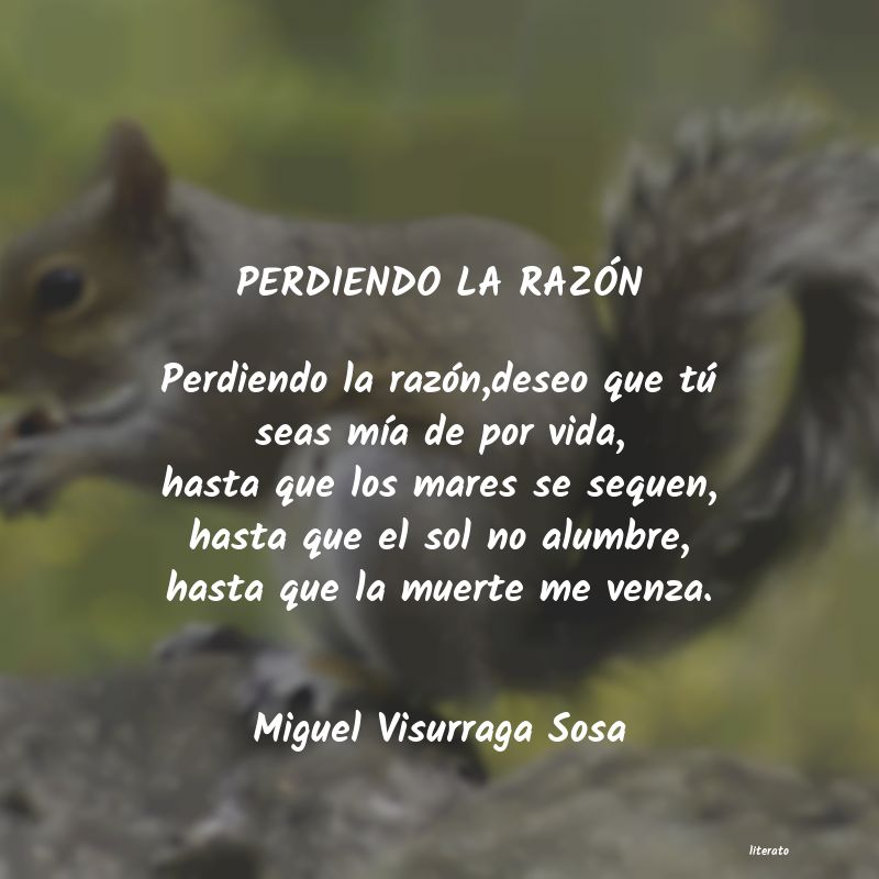 frases de Miguel Visurraga Sosa