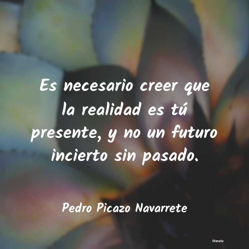 Frases de Pedro Picazo Navarrete