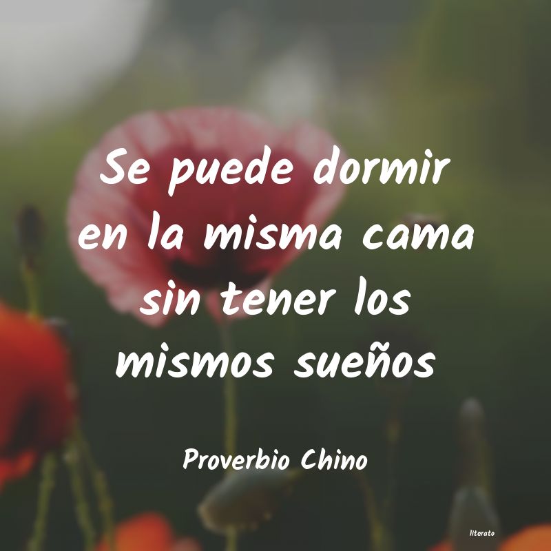 frases de Proverbio Chino