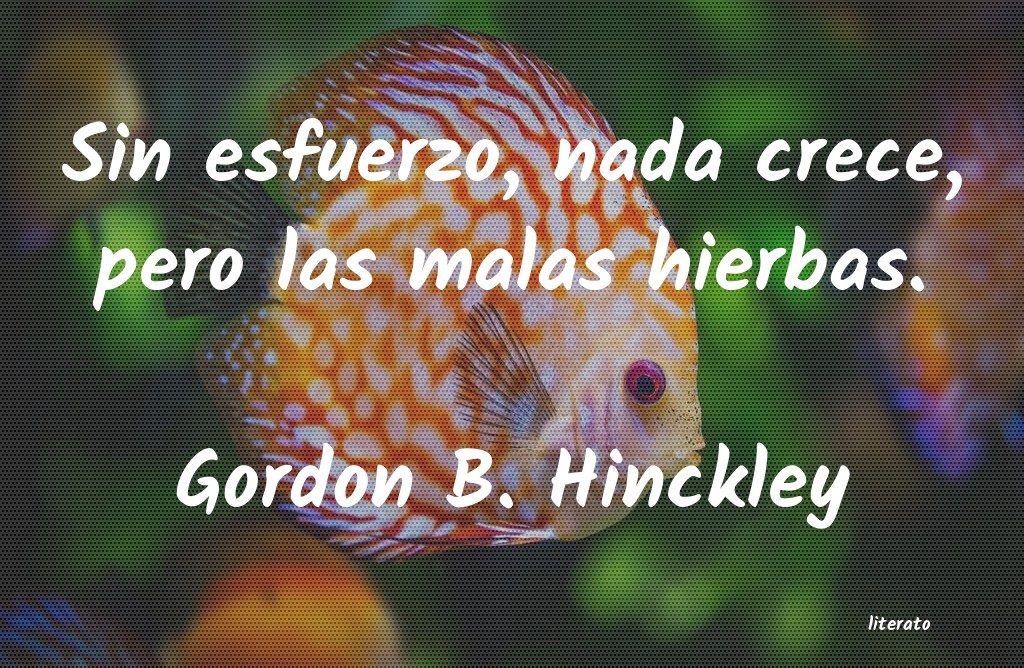frases de Gordon B. Hinckley