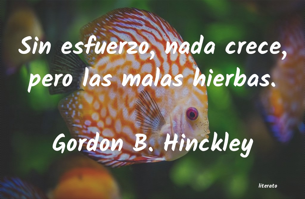 Frases de Gordon B. Hinckley