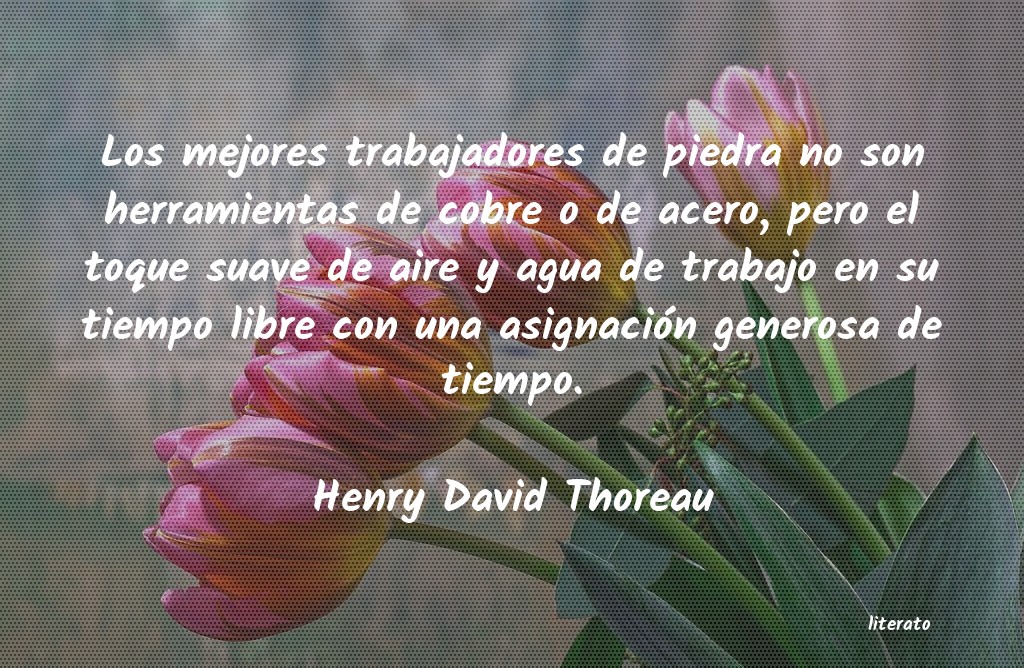 frases de Henry David Thoreau