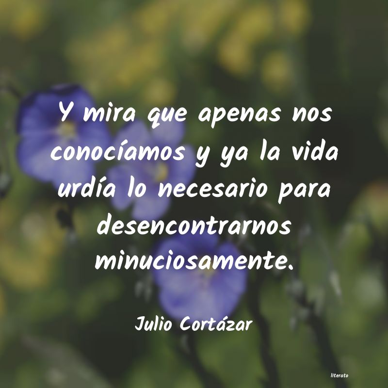 frases de Julio Cortázar