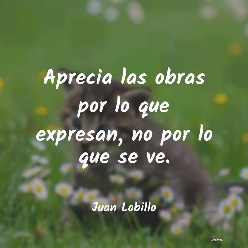 Frases de Juan Lobillo