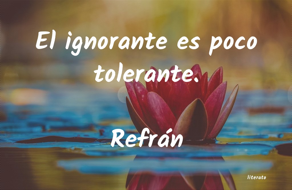 frases de gente ignorante