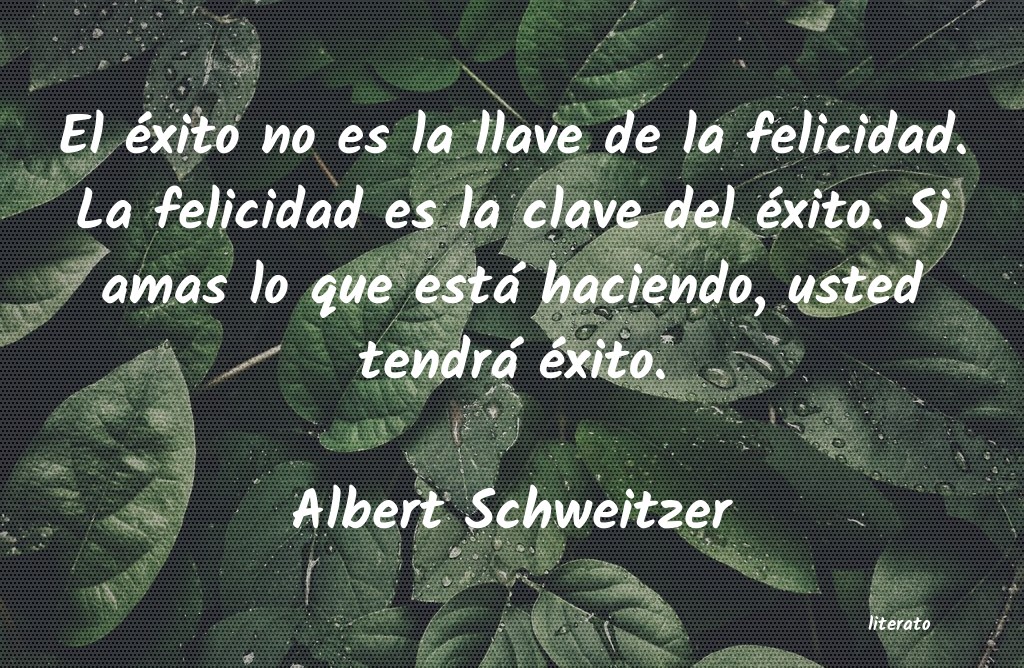frases de Albert Schweitzer