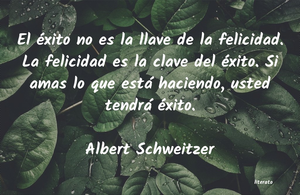 Frases de Albert Schweitzer