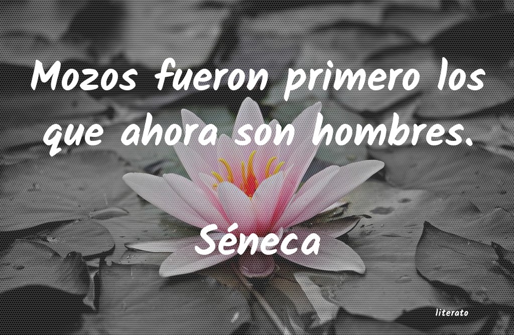 frases de Séneca