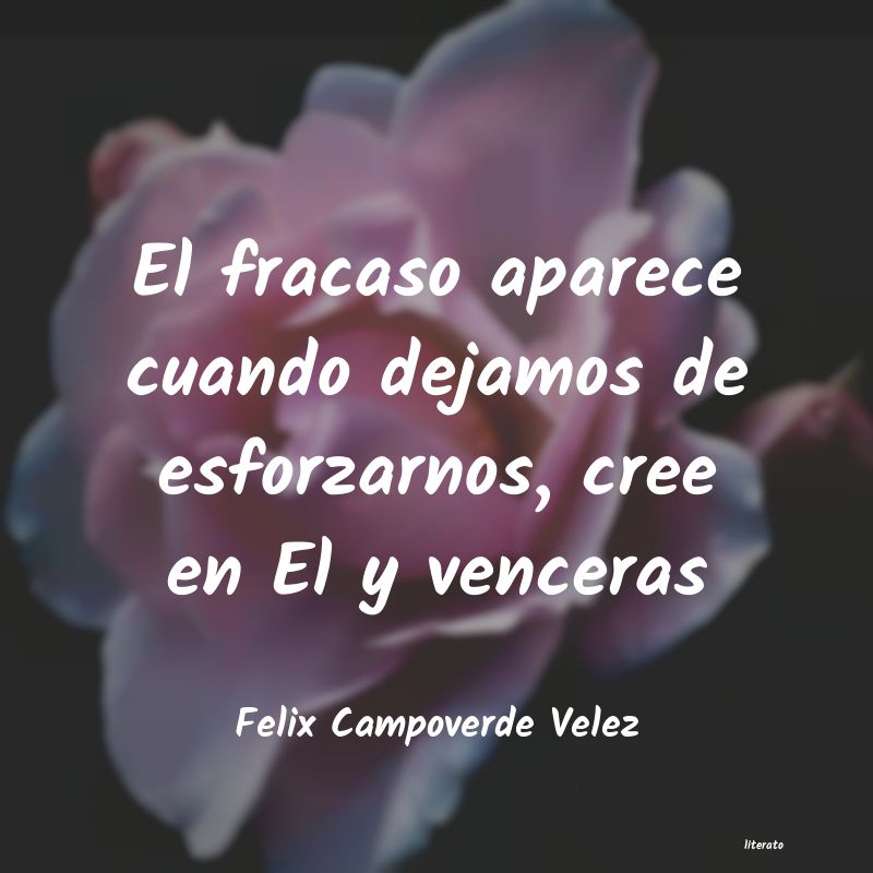 frases de Felix Campoverde Velez