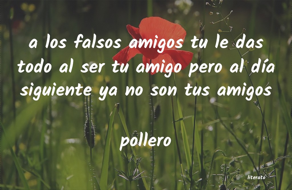 frases de pollero