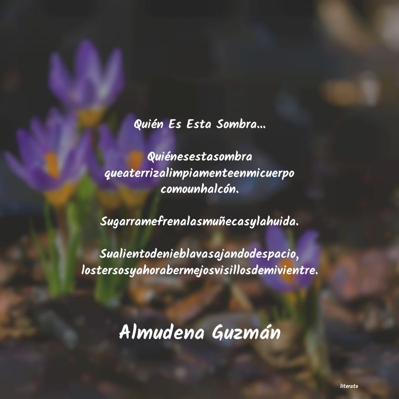 frases de Almudena Guzmán
