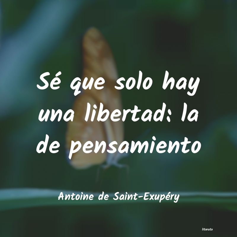 Frases de Antoine de Saint-Exupéry