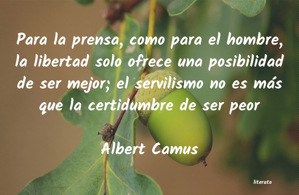 Frases de Albert Camus