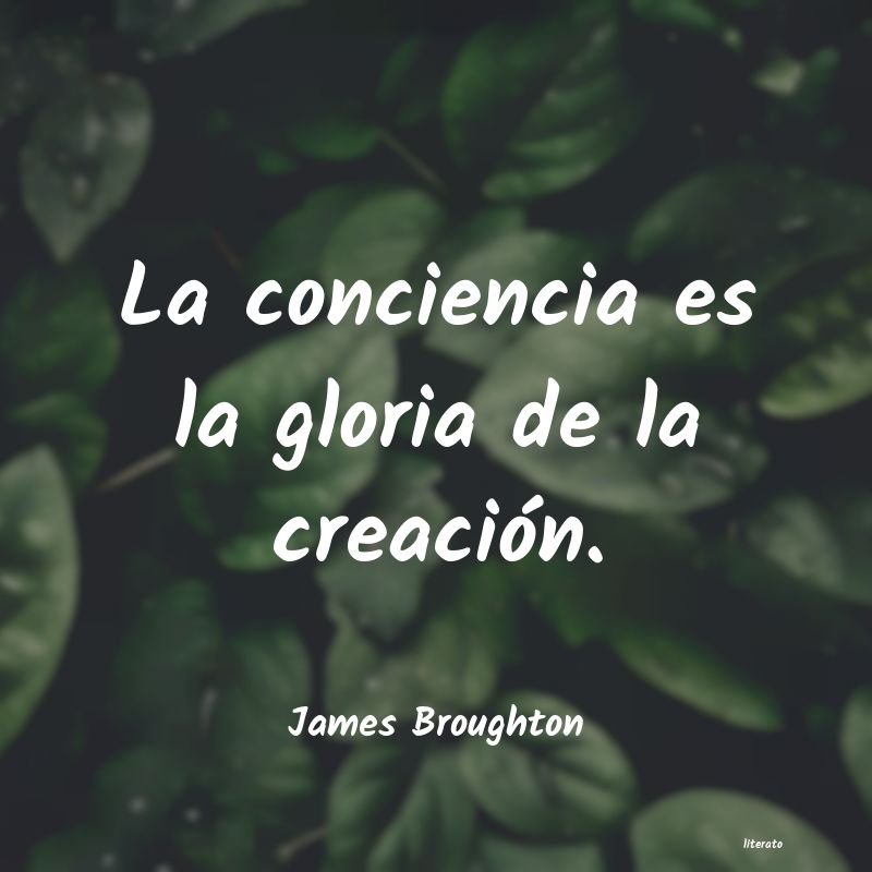 Frases de James Broughton